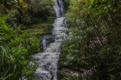 Neuseeland - McLean Falls