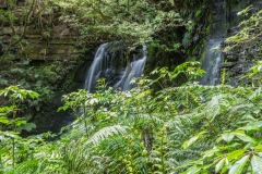 Neuseeland - Matai Falls Walk