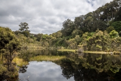 Neuseeland - Lake Wilkie