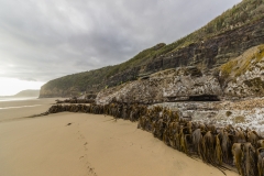 Neuseeland - Cathedral Caves