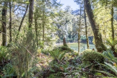 Neuseeland - Fjordland - Wairaurahiri Jet