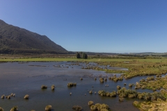 Neuseeland - Fjordland - rakatu wetlands