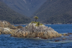 Neuseeland - Fjordland - Doubtful Sound