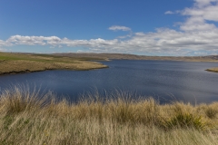 Neuseeland- Otago - Lake Onslow