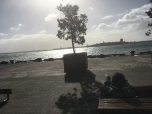 Entspannung am Hafen