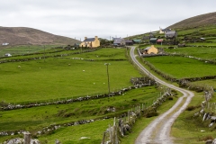 Irland - Dursey Island