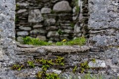 Irland - Dursey Island