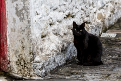 Irland - Dursey Island