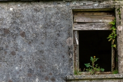 Irland - Dursey Island