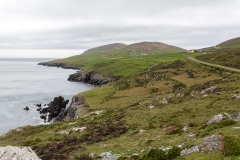 Irland - Dursey Island