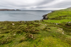 Irland - Dursey Island