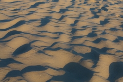 Borkum