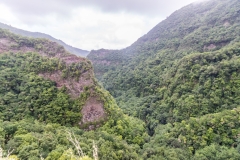 La Palma - Los Tilos