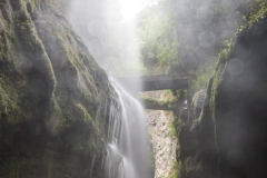 La Palma - Los Tilos