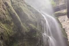 La Palma - Los Tilos