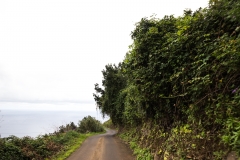 La Palma
