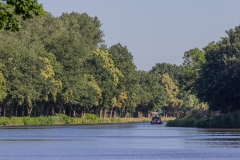 Lingen- Drachenbootregatta
