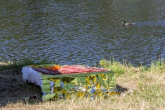 Lingen- Drachenbootregatta