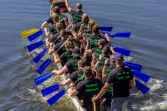 Lingen- Drachenbootregatta