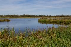 Niederlande - Nationalpark De Alde Feanen