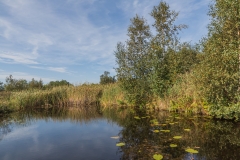 Niederlande - Nationalpark De Alde Feanen