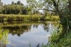Niederlande - Nationalpark De Alde Feanen