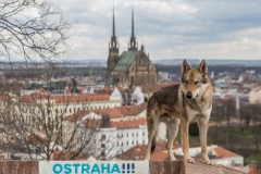 Tschechien - Brno