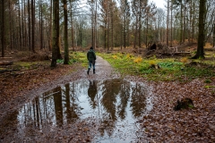 Wahner Heide