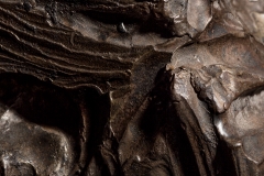 52 Frames - Week 4 - Macro 52 Frames - Week 4 - Macro