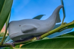 52 Frames - Week 8 - Uncommon 52 Frames - Week 8 - Uncommon