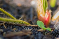 52 Frames - Week 13 - New 52 Frames - Week 13 - New