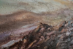 52 Frames - Week 19 - texture 52 Frames - Week 19 - texture