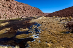 Von El Tatio nach San Pedro de Atacama - Chile