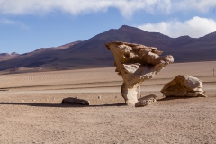 Park Eduardo Avaroa National Reserve of Andean Fauna - Bolivien