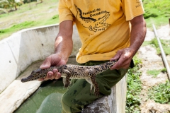 Jugendinsel - Cuba Jugendinsel - Cuba