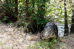 Jugendinsel - Cuba Jugendinsel - Cuba