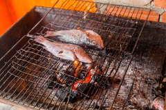 Jugendinsel - Cuba Jugendinsel - Cuba