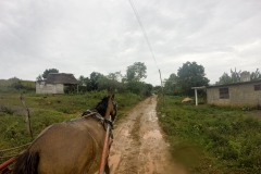 Viñales - Cuba Viñales - Cuba