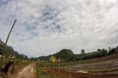 Viñales - Cuba Viñales - Cuba