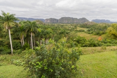Viñales - Cuba Viñales - Cuba