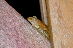 Cayo Levisa - Cuba Cayo Levisa - Cuba