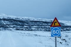 Auf den Weg in die Westfjords - Island