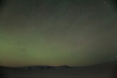 Nordlichter suchen rund um Reykjavik - Island
