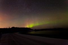 Nordlichter suchen rund um Reykjavik - Island