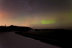 Nordlichter suchen rund um Reykjavik - Island