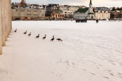 Reykjavik - Island