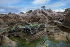 Nordinsel Neuseeland Nordinsel Neuseeland