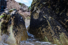 Whangamata - Neuseeland Whangamata - Neuseeland