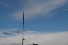 Whangamata - Neuseeland Whangamata - Neuseeland