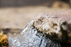 Rotorua - Neuseeland Rotorua - Neuseeland